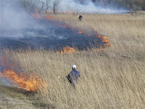 Prescribed Burning Nature And Ecology