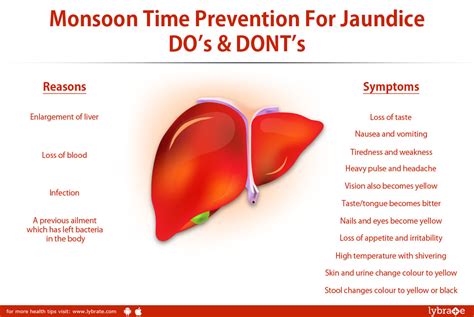 Monsoon Time Prevention For Jaundice DO S DONT S By Dr Amit