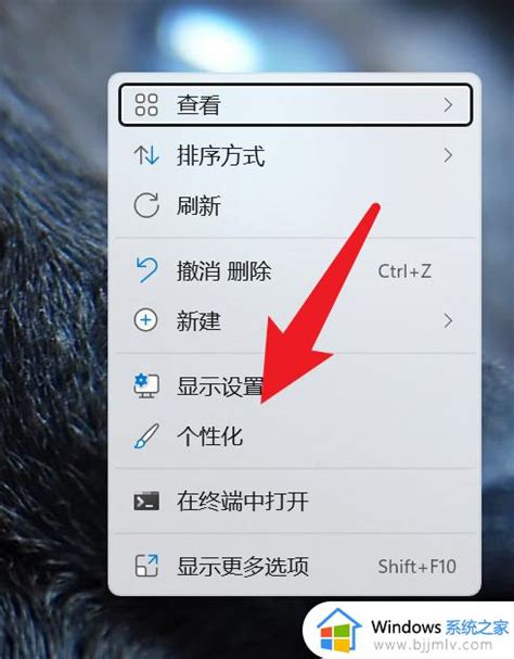 Windows11控制面板怎么添加到桌面win11控制面板图标如何调出来 Windows系统之家