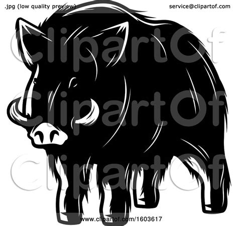 Clipart Of A Wild Boar In Black And White Royalty Free Vector