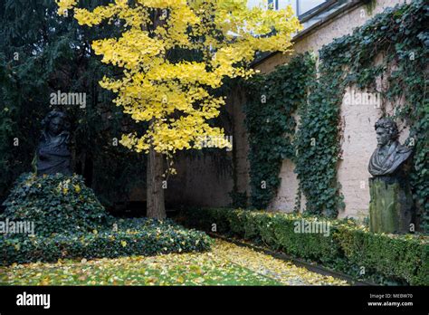 Statue Of Ludwig Van Beethoven On The Beethoven House Premises The