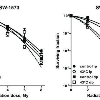 Radiation Survival Curves Of Confluent Cultures Of Sw Cells Human