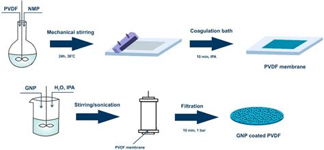 Membranes Free Full Text Graphene Coated Pvdf Membranes Effects Of