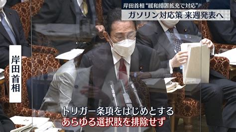 岸田首相、ロシアへの追加制裁措置発表 ガソリンなどの値上がりにも対応する考え強調（2022年2月25日掲載）｜日テレnews Nnn