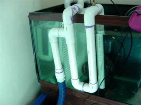 Diy Aquarium Overflow Design Temmie Aquarium