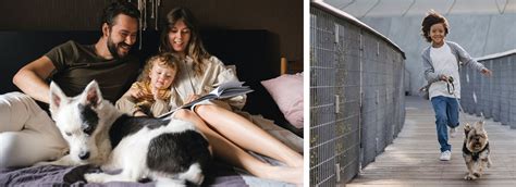 ¿es Buena Idea Tener Un Perro Para Criar A Tu Hijo