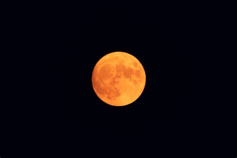 30,000+ Best Red Moon Photos · 100% Free Download · Pexels Stock Photos