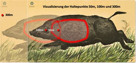 Laufender Keiler auf 300m: So gelingt der Schuss auch auf weite ...