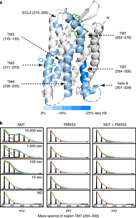 Hdx Ms Results Of C Ar With Two Ligands A Regions In C Ar That Show