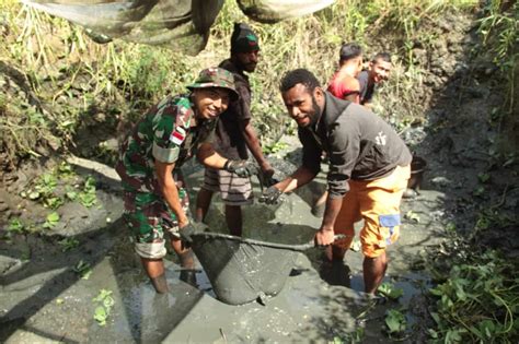 Berhasil Budidaya Ikan Lele Satgas Yonif 126 Kc Panen Bersama Masyarakat Perbatasan Papua