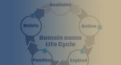 Domain Life Cycle Whoapi Inc