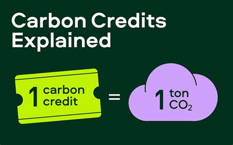 Understanding The Verified Carbon Standard Vcs By Shaqib Shahril