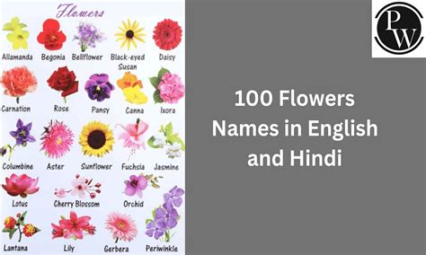 List Of Flower Names