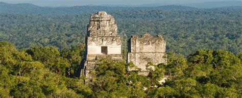 Laser Survey Has Revealed Vast Network of Hidden Maya Structures in ...