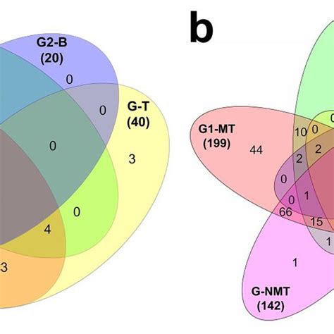 Venn Diagrams Of The Differential Distribution Of Proteins Identified Download Scientific