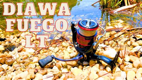 Daiwa Fuego LT 2500 XH The BEST Reel EVER YouTube