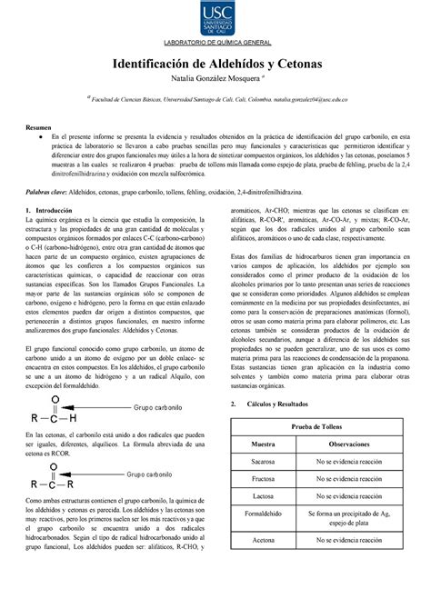 Identificaci N De Aldeh Dos Y Cetonas Laboratorio De Qu Mica General