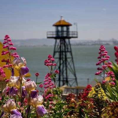 Alcatraz Ghost Tours | USA Today