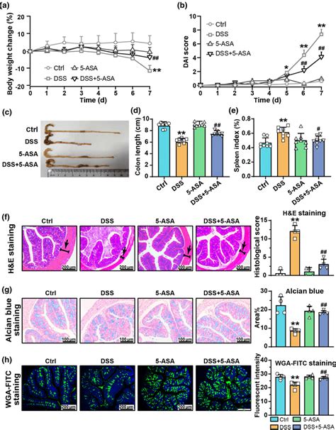 Effect Of Asa On Pathological Symptoms Of Dss Induced Colitis