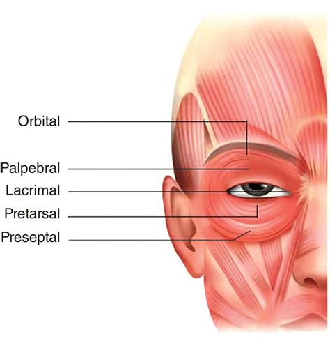 Botulinum Toxin Plastic Surgery Key