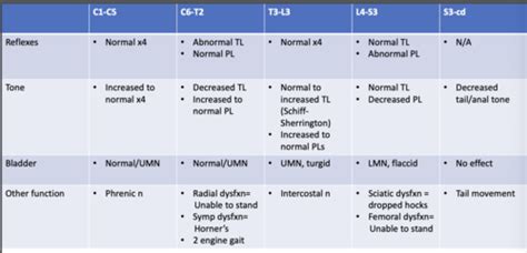 Myelopathies Flashcards Quizlet