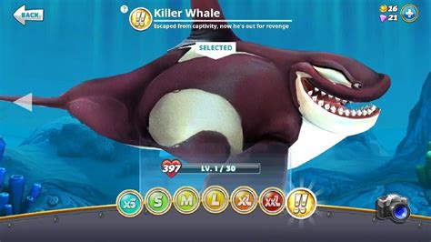 Hungry Shark World New Killer Whale Unlocked Bigger Stronger