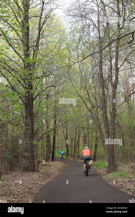 Two Male Cyclists Riding Their Bicycles On The Gandy Dancer Trail In St