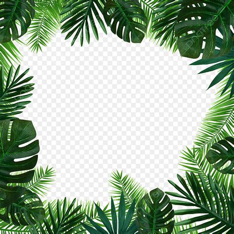 Tropical Palm Leaves Png Image Summer Tropical Palm Green Leaves