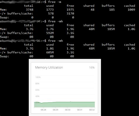 Network Monitor Reports Different Memory Usage Than Free Mh In AWS