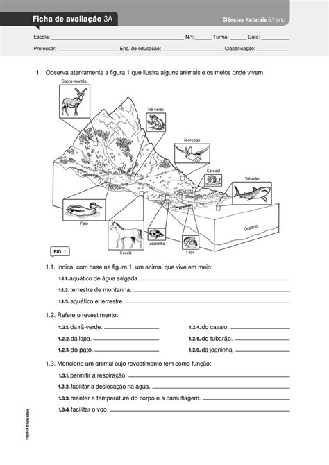 Tv Em Ficha Avaliacao A Ci Ncias Naturais Ano Observa