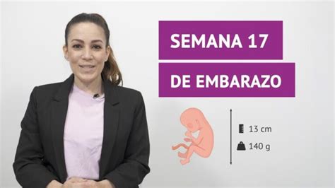 Cómo es la decimosexta semana de embarazo Guía completaActualizado