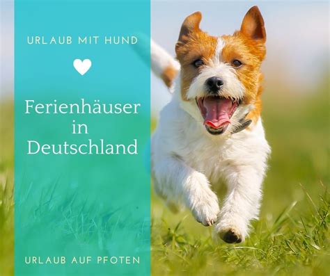 Urlaub auf Pfoten Ferienhäuser mit Hund