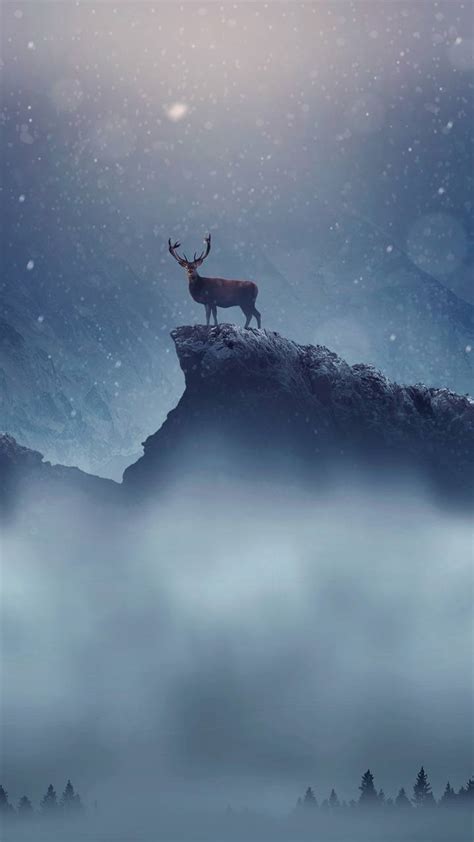 Snow Deer Wallpapers Top Free Snow Deer Backgrounds Wallpaperaccess