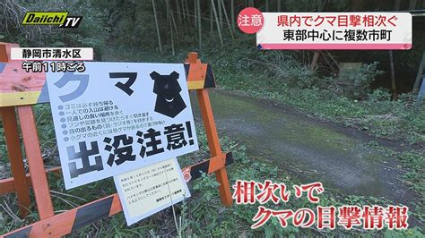 クマ出没状況 の実態は 相次ぐ目撃情報に県の担当者はクマではなかった事例も見つけた場合は近づかず自治体や警察に連絡を静岡県