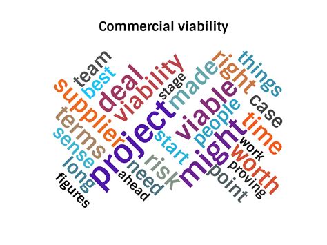 Projectmanagement What Does Commercial Viability Mean