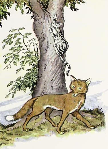 The Cat And The Old Rat Story Aesop S Fables