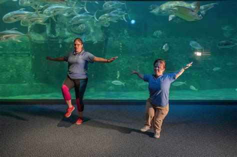 Tour N.C. Aquariums, Online or In-Person - Cary Magazine