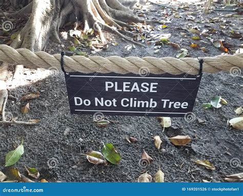 Please Do Not Climb Tree Sign On Rope And Tree And Leaves Stock Photo