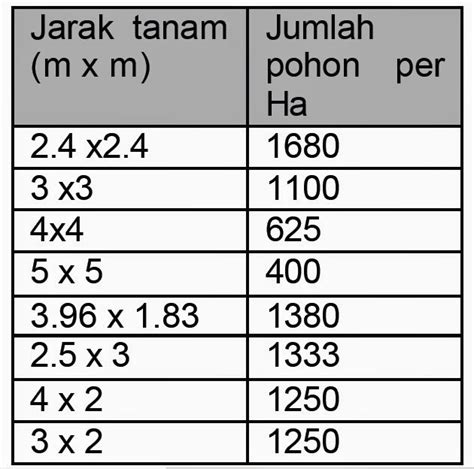 Cara Budidaya Tanaman Kakao Agar Sukses Saraswati Update