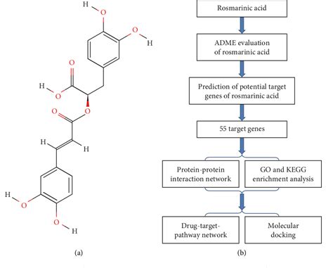 Figure 1 From Network Pharmacology And Molecular Docking Suggest The