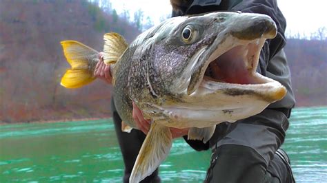 Float Fishing For Massive Trout At The Niagara River Youtube