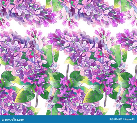 Lilac Pattern Stock Illustration Illustration Of Garden 30114553