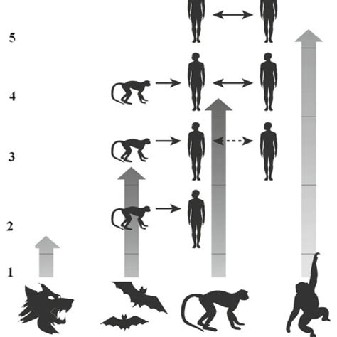 Different Stages Of Pathogen Evolution And Adaptation To Human