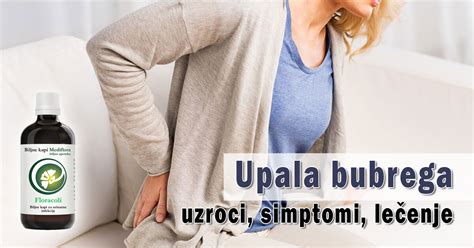 Upala bubrega uzroci simptomi lečenje Mediflora