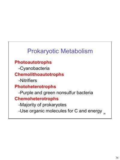 Prokaryotic Metabolism Ph