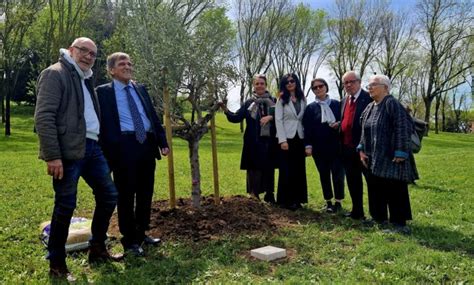 MATTEOTTI TRA I GIUSTI nel Giardino dei Giusti dellUmanità in Roma