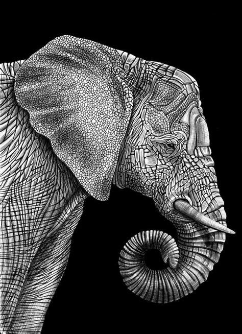 Indian Sketched Elephant Art Print by Inspired Images | Society6 ...