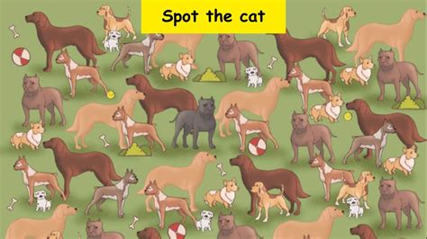 Put Your Visual Skills To Test By Finding The Cat Hidden Among Dogs In