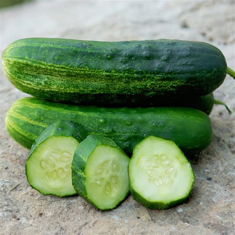 Wautoma Cucumber Seed | ORGANIC SEED / 1 gram | Territorial Seed