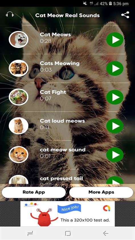 Cat Meow Real Sounds Apk For Android Download